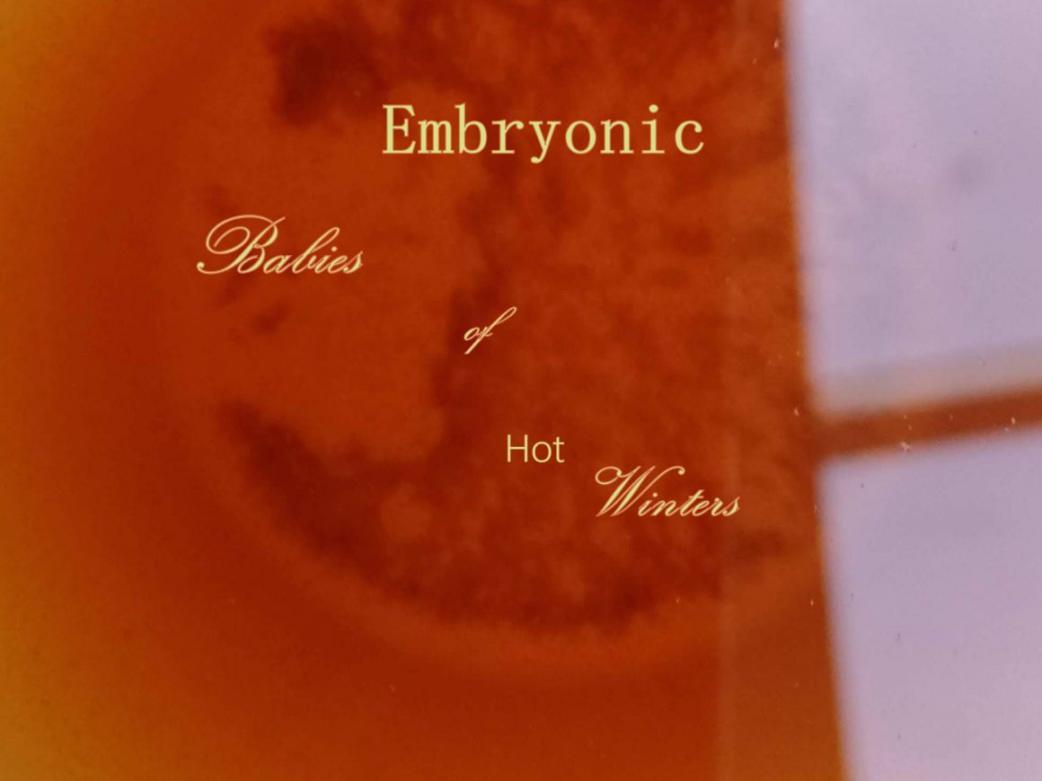 Bébés embryonnaires des hivers chauds Concept Teaser | ESCAPISME